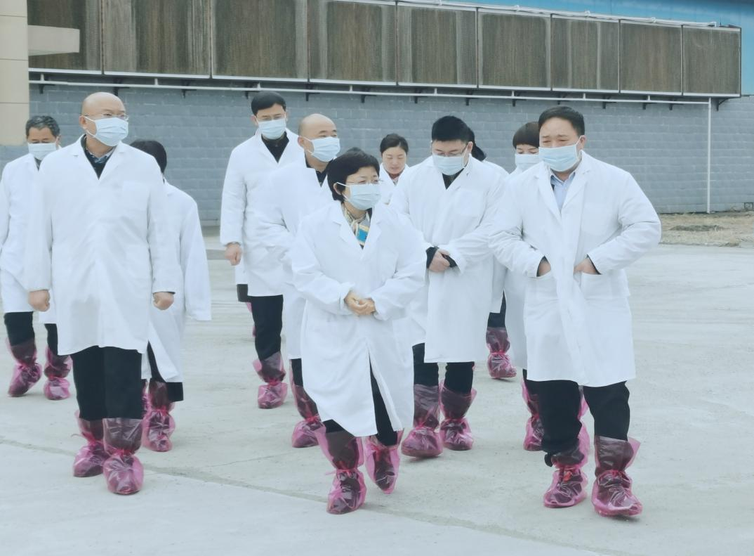 河南省鄭州市人民政府副市長(zhǎng)李鳳芝一行蒞臨花花牛河南瑞亞參觀(guān)調(diào)研