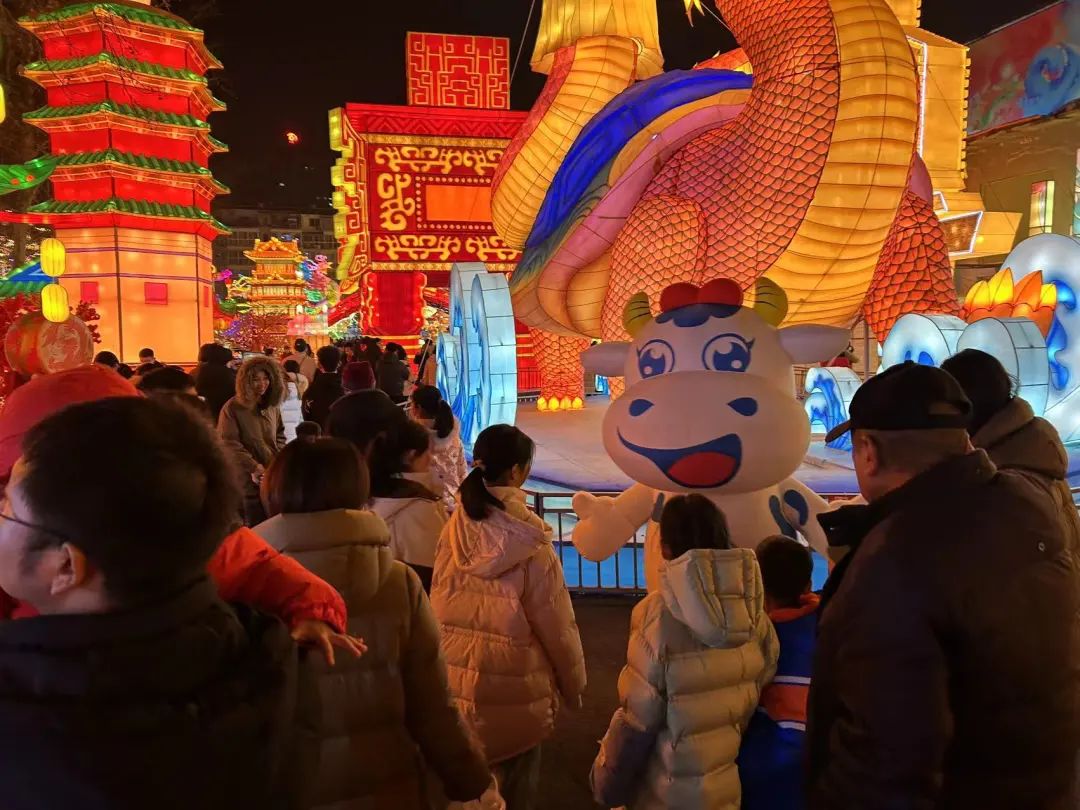 央視直播鄭州龍年燈會(huì)迎新春，花花牛品牌上大分