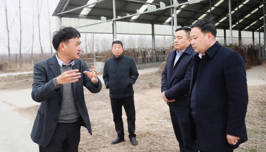 發(fā)揮產(chǎn)業(yè)優(yōu)勢(shì) 助力鄉(xiāng)村振興 | 民權(quán)縣委副書記、縣長(zhǎng)王靜嫻會(huì)見關(guān)曉彥董事長(zhǎng)一行