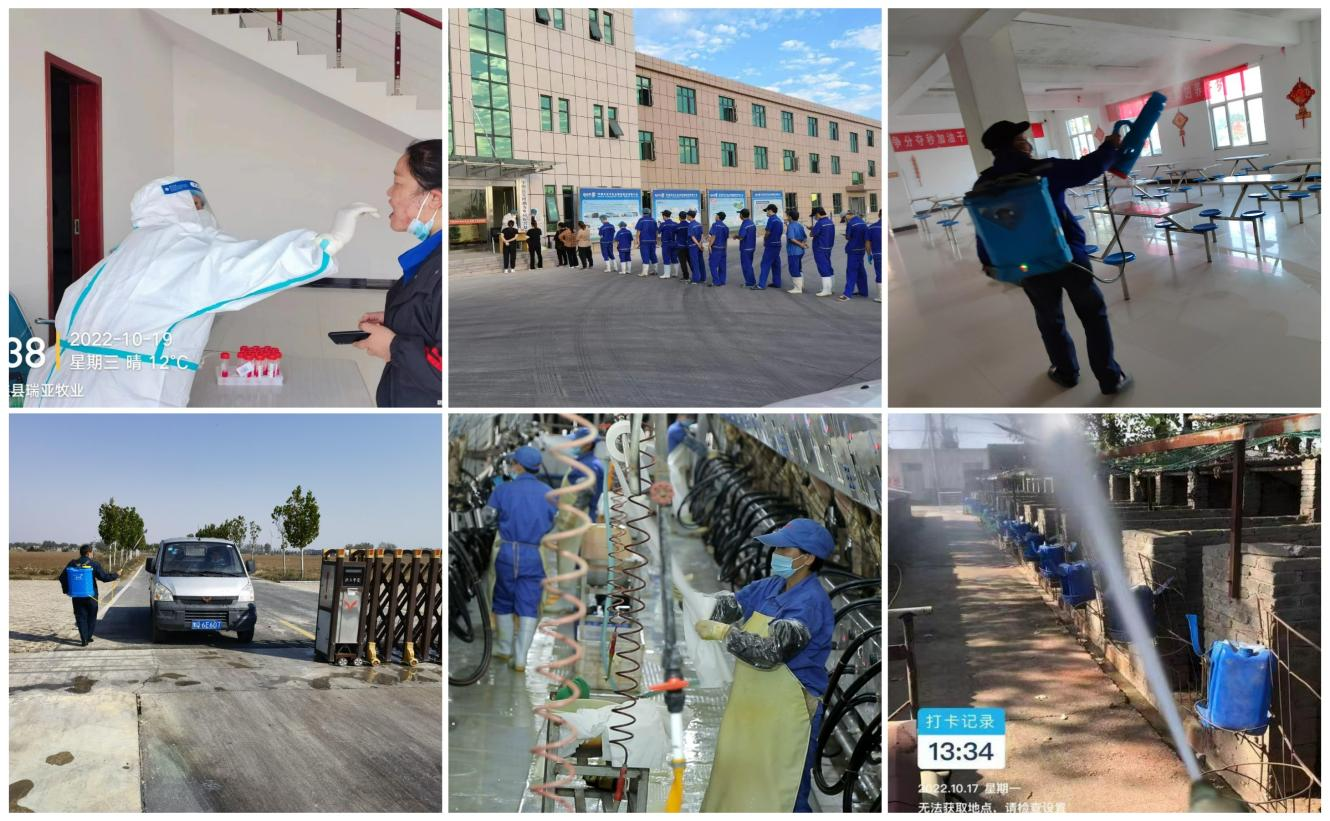 抗疫情、保供應(yīng)、顯擔(dān)當(dāng)——花花牛在行動(dòng)?。?！