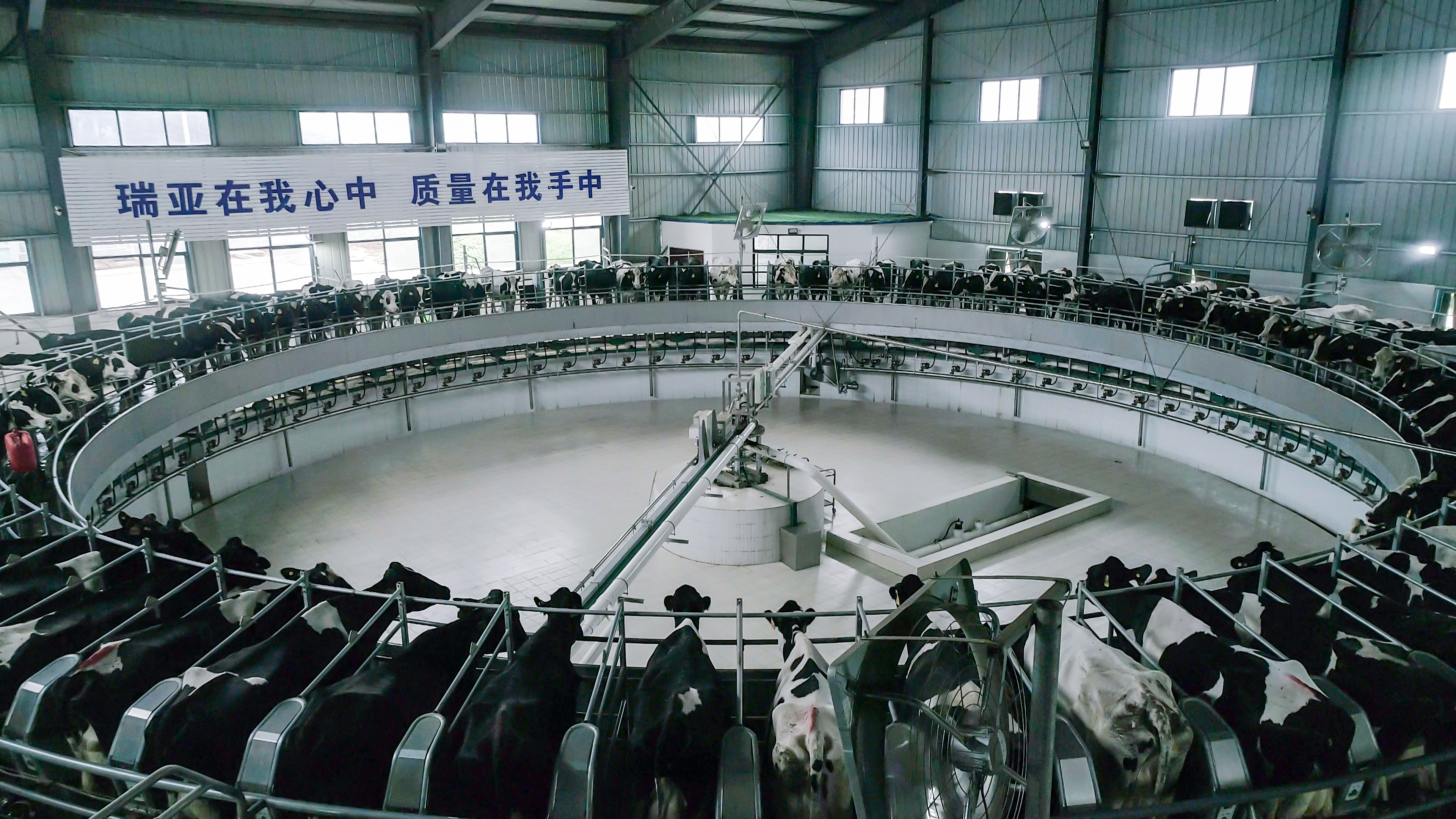 花花牛兩座自有牧場(chǎng)入選 河南省農(nóng)業(yè)農(nóng)村廳2021年度畜禽養(yǎng)殖標(biāo)準(zhǔn)化示范場(chǎng) 花花牛兩座自有牧場(chǎng)入選 河南省農(nóng)業(yè)農(nóng)村廳2021年度畜禽養(yǎng)殖標(biāo)準(zhǔn)化示范場(chǎng)