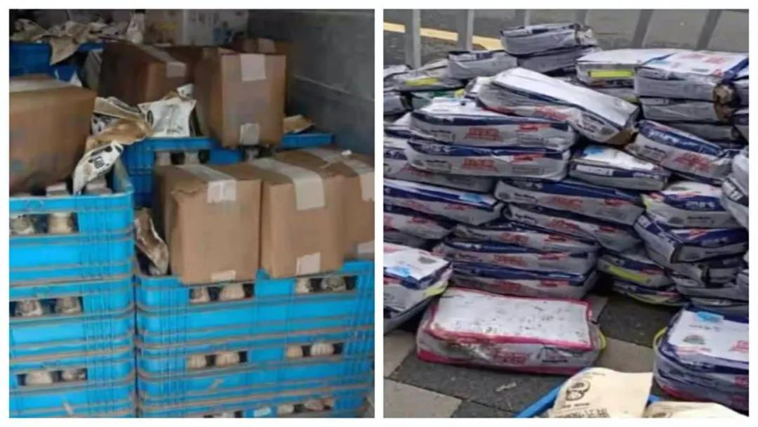 【乳報·聚焦】“豫”難而上的中原牛人“太中了”！