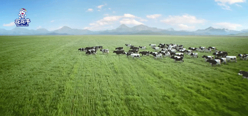 快訊 | 2020河南民營企業(yè)100強(qiáng)發(fā)布 花花牛榮獲“河南民營企業(yè)現(xiàn)代農(nóng)業(yè)100強(qiáng)”、“河南民營企業(yè)社會(huì)責(zé)任100強(qiáng)”雙榮譽(yù)