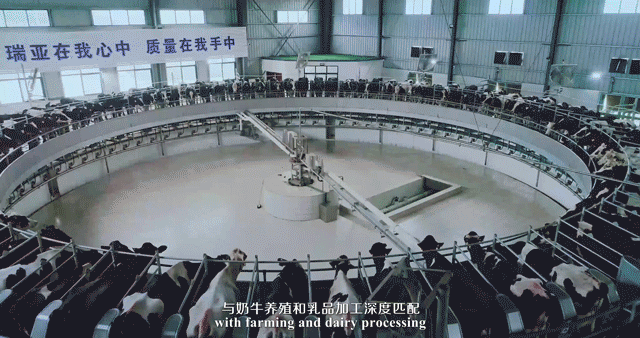 快訊 | 河南省委常委、省紀(jì)委書(shū)記、省監(jiān)委主任任正曉蒞臨花花牛乳業(yè)集團(tuán)新蔡瑞亞牧場(chǎng)調(diào)研