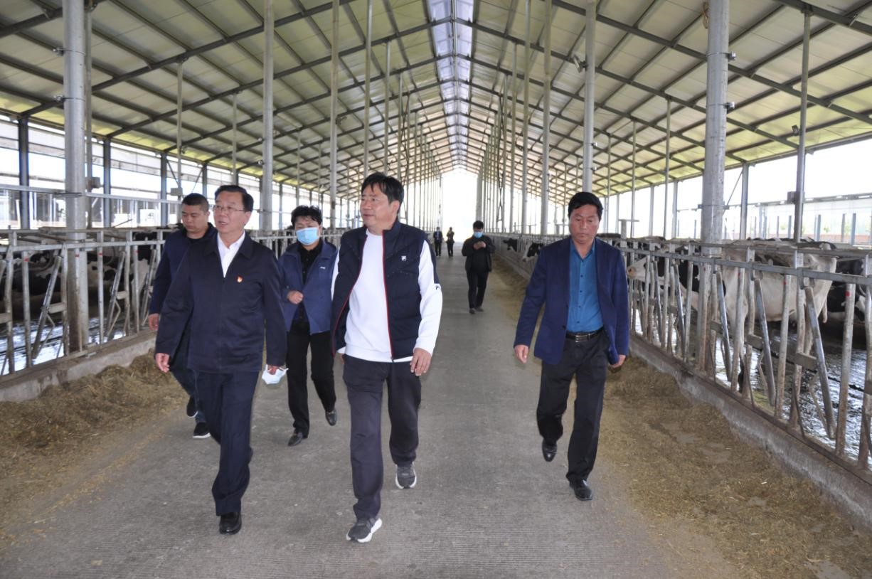 商丘市委常委、宣傳部部長王全周一行蒞臨睢縣瑞亞牧業(yè)有限公司調(diào)研