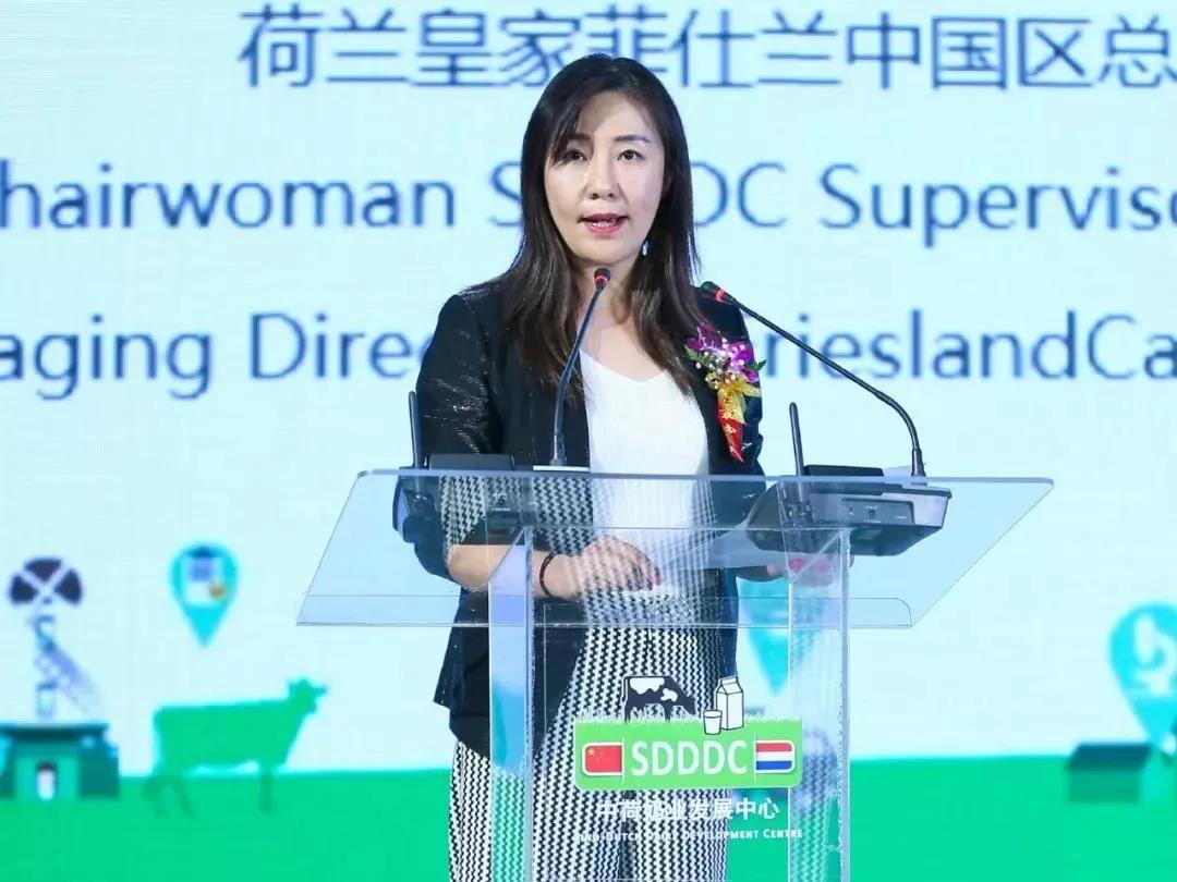 SDDDC走進河南，看看花花牛的國際范兒！