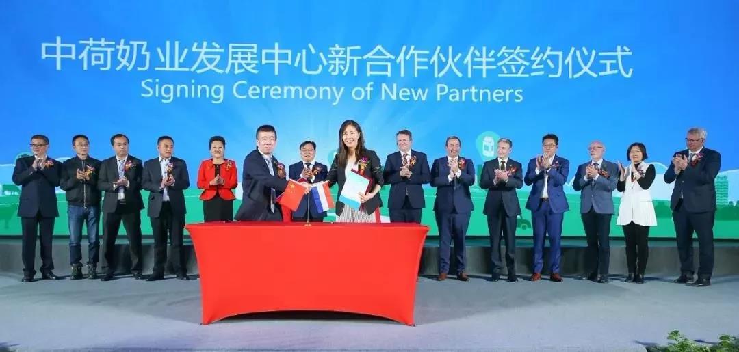 SDDDC走進河南，看看花花牛的國際范兒！