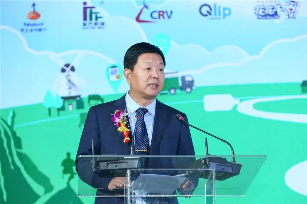 SDDDC走進河南，看看花花牛的國際范兒！