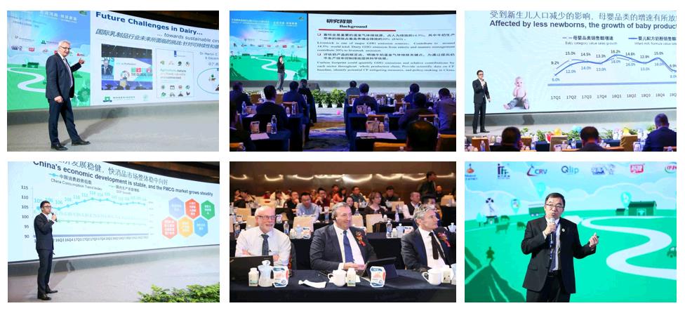 SDDDC走進河南，看看花花牛的國際范兒！