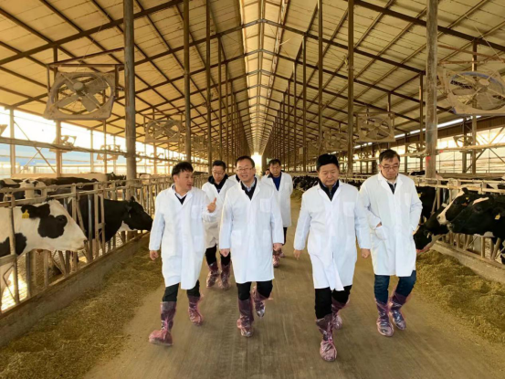 寧夏回族自治區(qū)農(nóng)業(yè)農(nóng)村廳黨組書記、廳長王剛一行蒞臨花花牛乳業(yè)集團調(diào)研