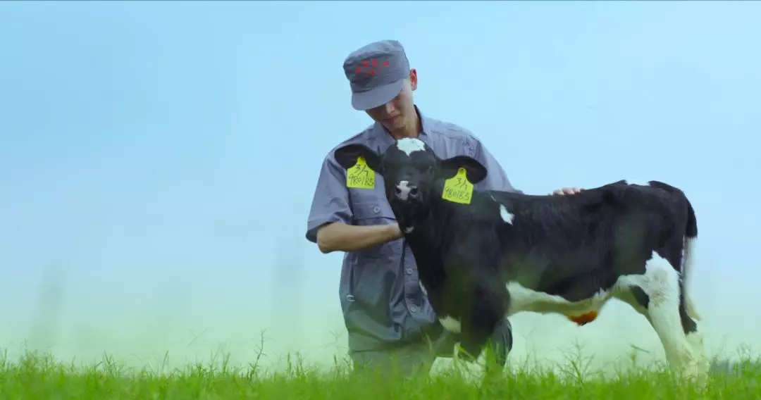 喜報(bào) | 國(guó)家市場(chǎng)監(jiān)管總局抽檢，花花牛等112家企業(yè)乳品抽檢全部合格