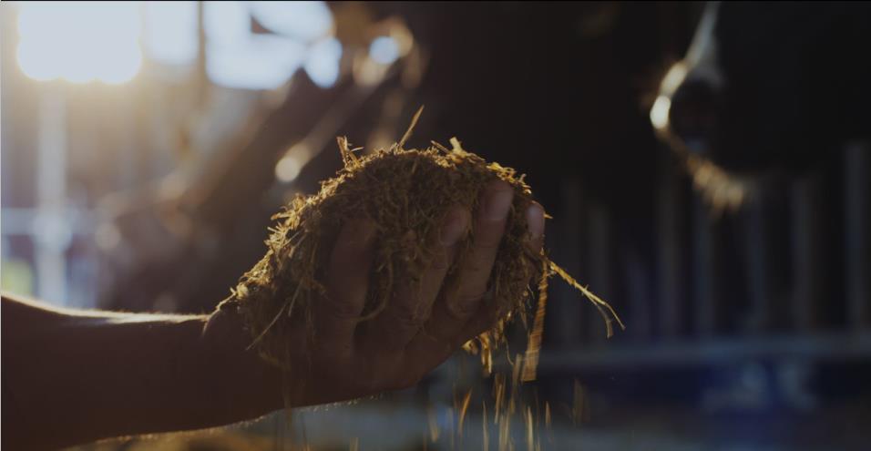 又雙叒叕獲獎(jiǎng)啦！花花牛榮獲“乳品質(zhì)量安全管理 優(yōu)秀企業(yè)”