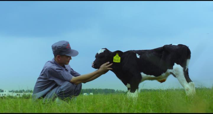 又雙叒叕獲獎(jiǎng)啦！花花牛榮獲“乳品質(zhì)量安全管理 優(yōu)秀企業(yè)”