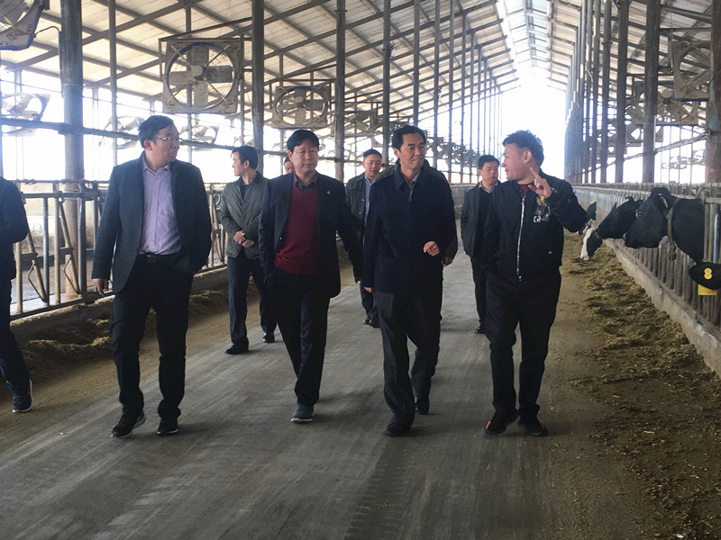封丘縣縣長(zhǎng)王獻(xiàn)臣一行蒞臨 花花牛集團(tuán)養(yǎng)殖、乳品事業(yè)部參觀調(diào)研