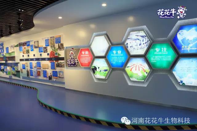 花花牛：務(wù)實、創(chuàng)新領(lǐng)潮市場 大企業(yè)體現(xiàn)大擔(dān)當(dāng)