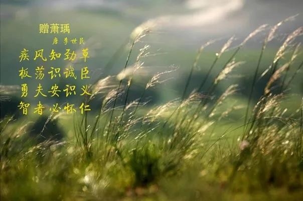 花花牛 | 疾風(fēng)來臨，你是不是勁草？