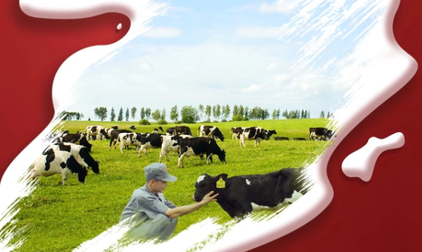 喜報(bào)！花花牛董事長關(guān)曉彥再獲”優(yōu) 秀企業(yè)家”稱號